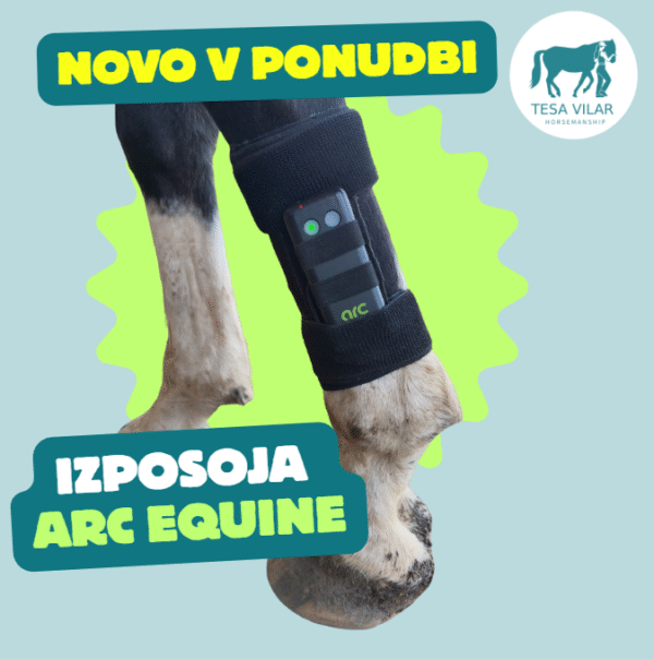 Najem ARC Equine terapevtske naprave za konje